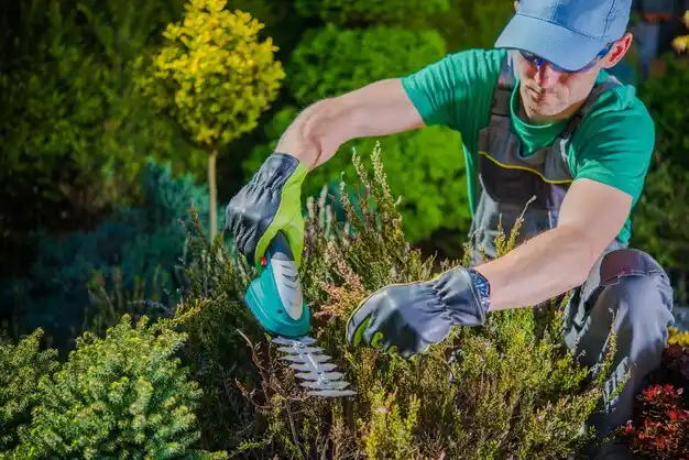 landscaping services La Center